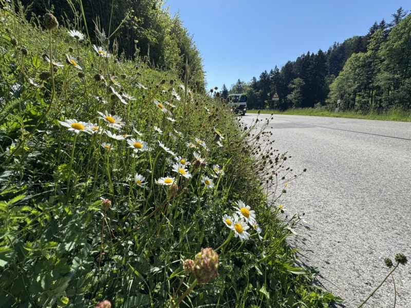 Kleinluetzel Hauptstrasse