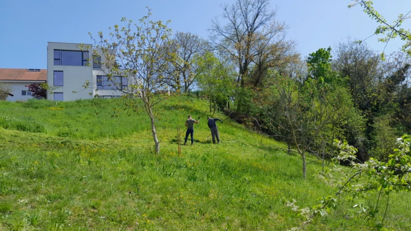 Dornach Solothurnerstrasse