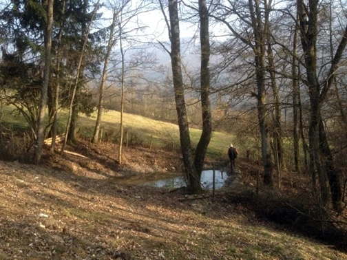 Allmendweiher 2014